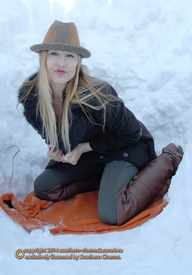 snowfort001.jpg (600.67 KiB) Viewed 555 times snowfort001.jpg