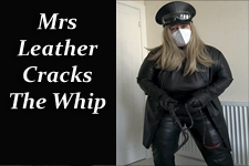 cracking the whip.jpg