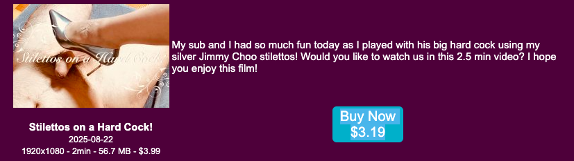 Screen Shot 2025-08-22 at 1.07.07 PM.png