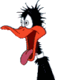 daffy.gif